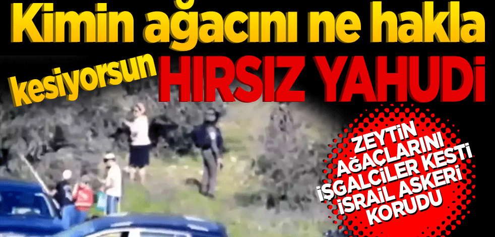 Sen kimin ağacını NE HAKLA kesiyorsun hırsız Yahudi