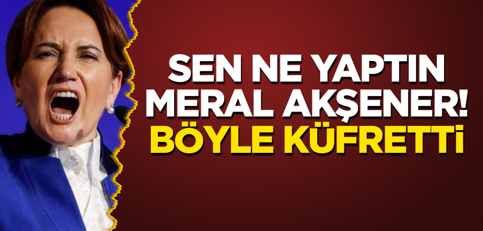 Sen ne yaptın Meral Akşener! Böyle küfretti