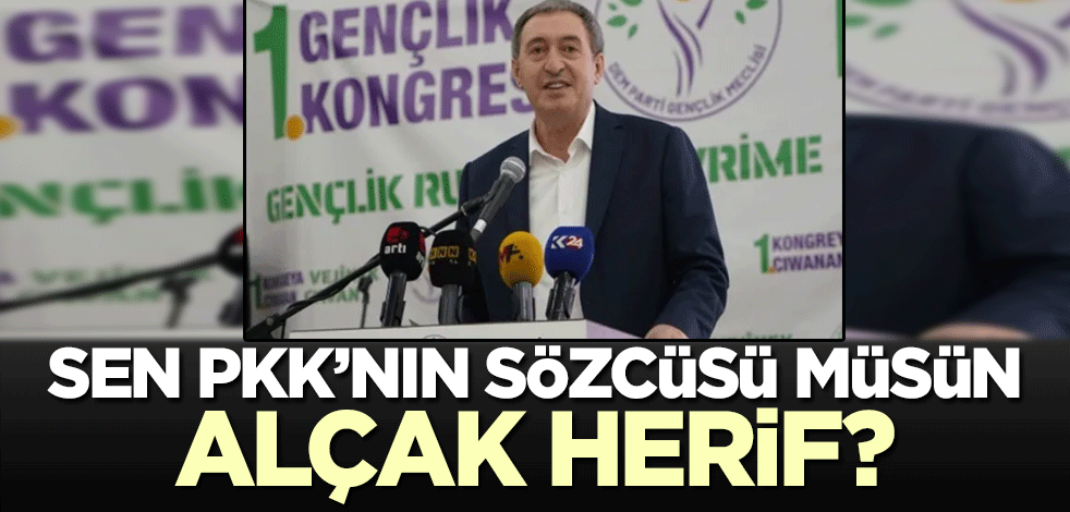 Sen PKK'nın sözcüsü müsün, alçak herif?
