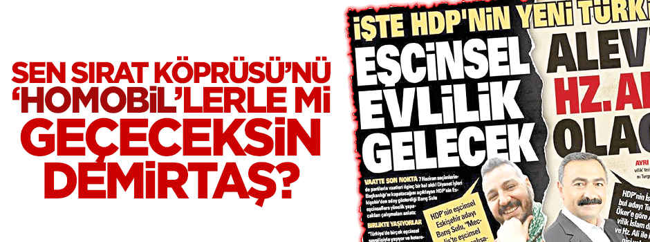 Sen Sırat Köprüsü’nü 'Homobil'lerle mi geçeceksin Demirtaş?