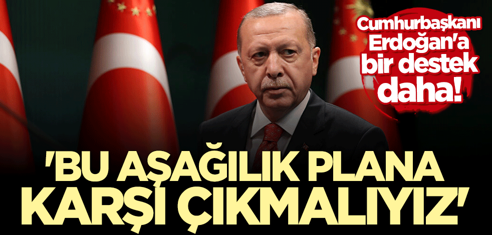 Senegalli aktivistlerden Cumhurbaşkanı Erdoğan'ın boykot çağrısına destek