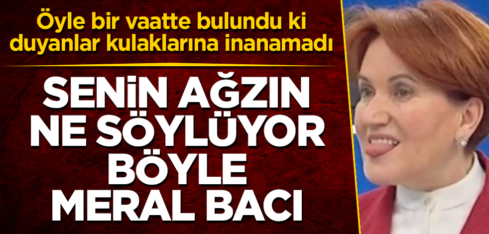 Senin ağzın ne söylüyor böyle Meral Akşener? Öyle bir vaatte bulundu ki, duyanlar kulaklarına inanamadı
