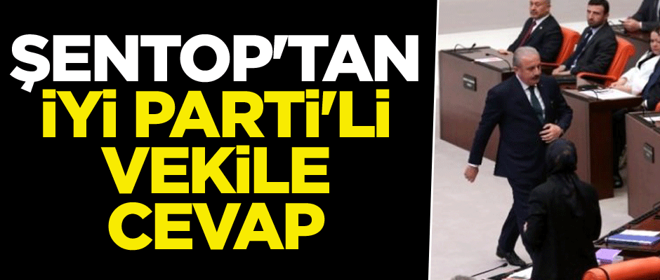 Mustafa Şentop'tan İYİ Partili vekile cevap