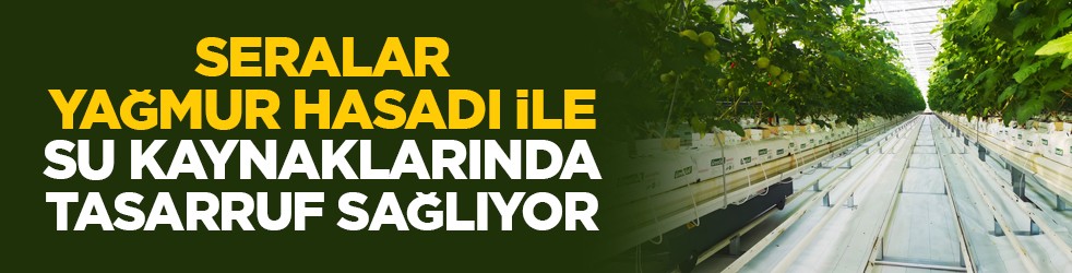 Seralar, yağmur hasadı ile su kaynaklarında tasarruf sağlıyor