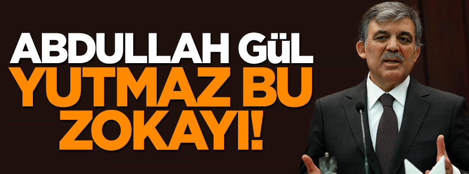 Serdar Arseven: Sayın Gül yutmaz bu zokayı!