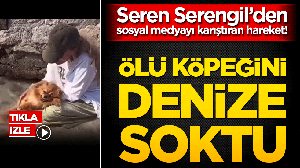 Seren Serengil’den sosyal medyayı karıştıran hareket! Ölü köpeğini denize soktu