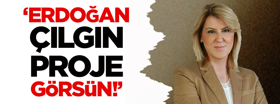 Sevda Türküsev: 'Erdoğan çılgın proje görsün'