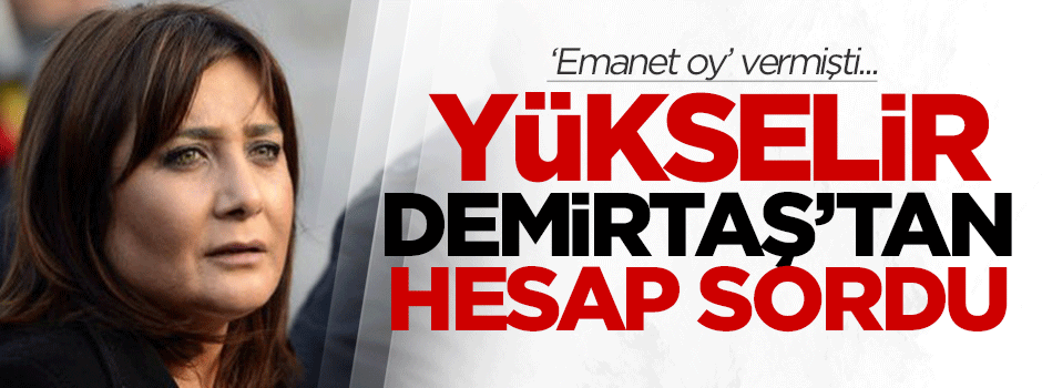 Sevilay Yükselir, emanet oy verdiği Demirtaş'tan hesap sordu