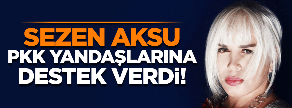 Sezen Aksu'dan tutuklanan akademisyenlere destek!