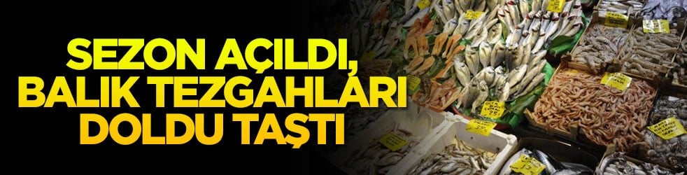 Sezon açıldı, balık tezgahları doldu taştı