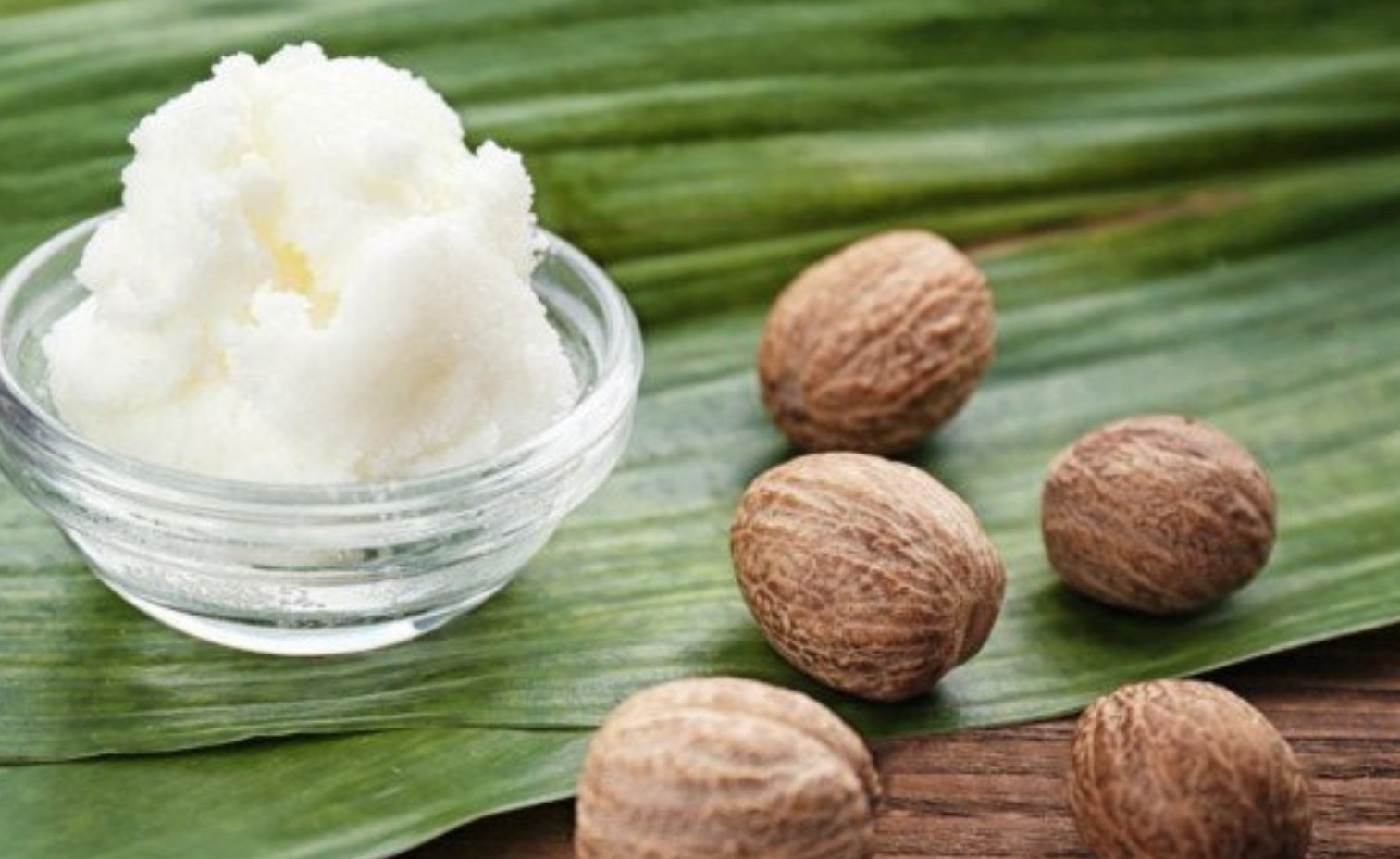 Shea yağı faydaları | Shea yağı nerede kullanılır?