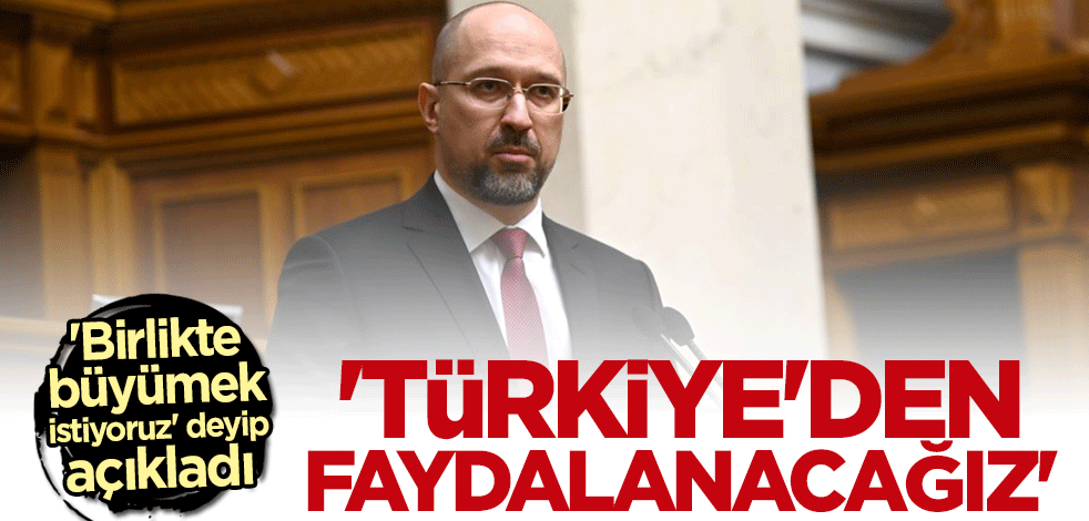 Shmygal: Türkiye'nin tecrübesinden faydalanacağız
