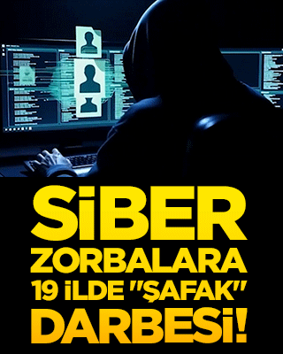 Siber zorbalara 19 ilde 