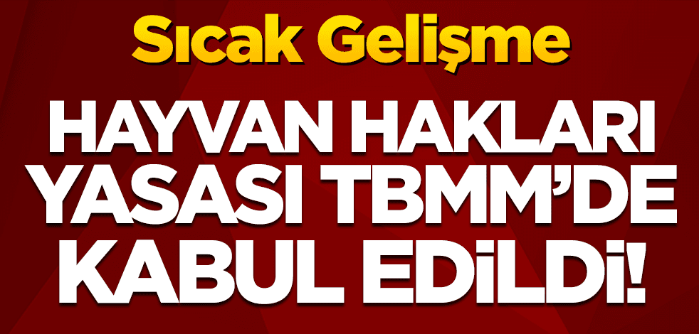 Sıcak gelişme! Hayvan hakları yasası TBMM'de kabul edildi