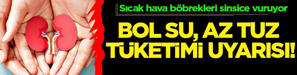 Sıcak hava böbrekleri sinsice vuruyor: Böbrek sağlığı için bol su, az tuz tüketimi uyarısı!