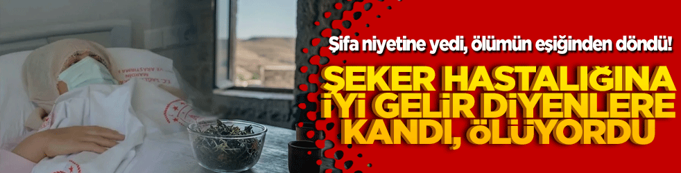 Şifa niyetine yedi, ölümün eşiğinden döndü! Şeker hastalığına iyi gelir diyenlere kandı, az kalsın canından oluyordu!
