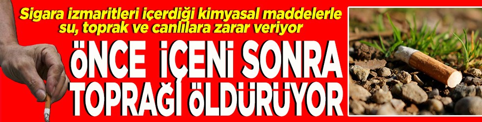 Sigara izmaritleri su, toprak ve canlılara zarar veriyor. Önce içeni sonra toprağı öldürüyor