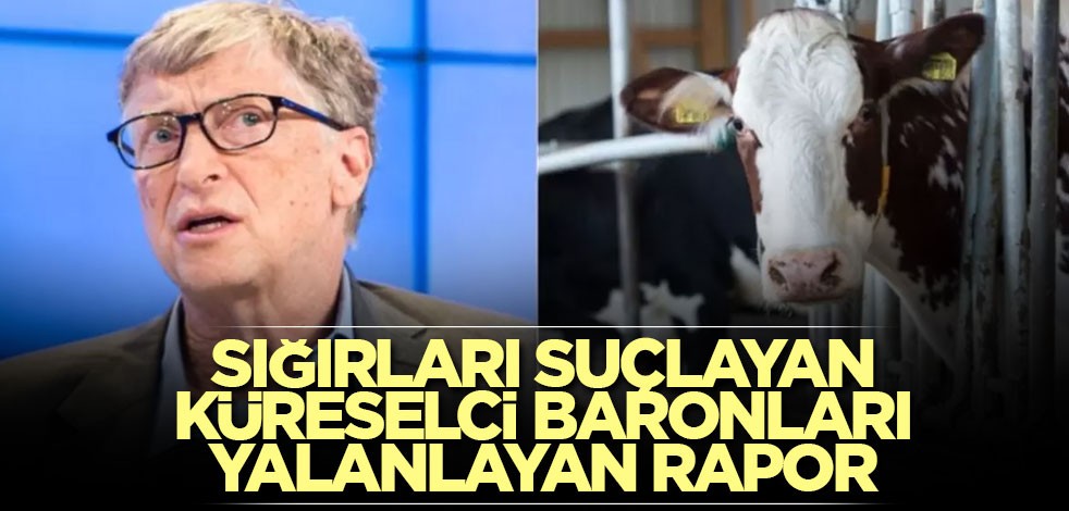 Sığırları suçlayan küreselci baronları yalanlayan rapor