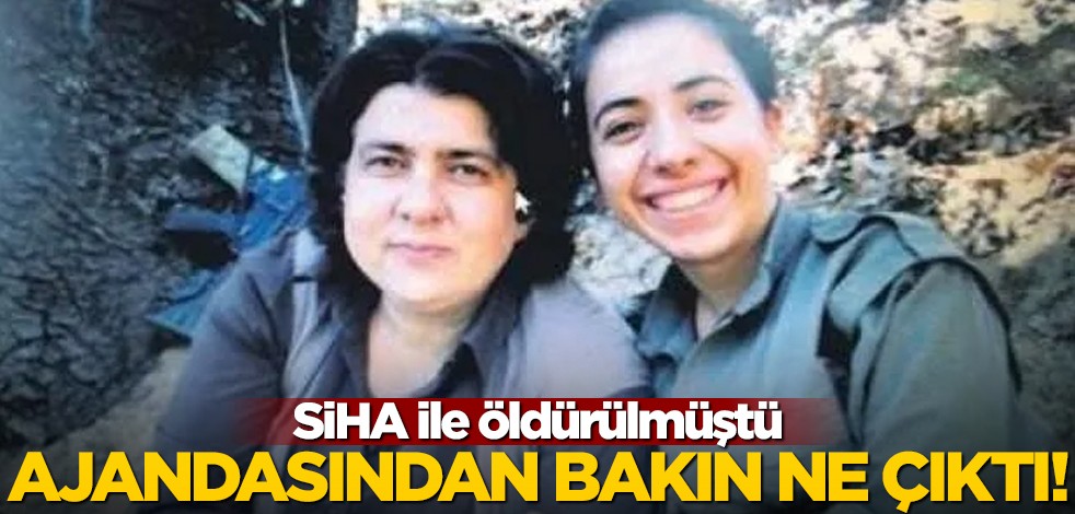 SİHA ile öldürülen teröristin ajandasından bakın neler çıktı!
