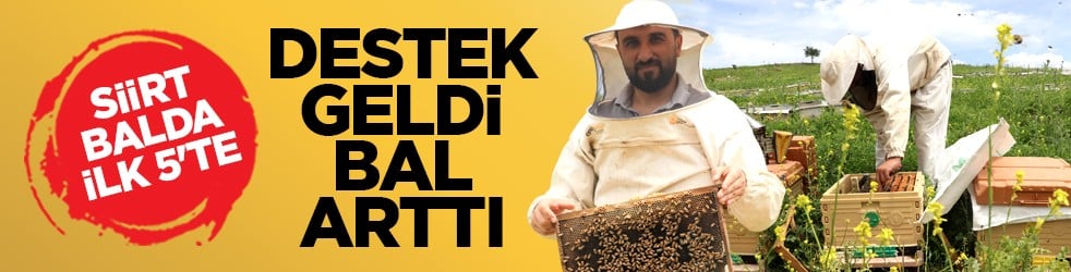 Siirt balda İlk 5'te: Destek geldi, bal arttı