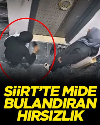 Siirt’te mide bulandıran hırsızlık