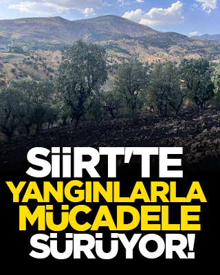 Siirt'te Yangınlarla Mücadele Sürüyor!
