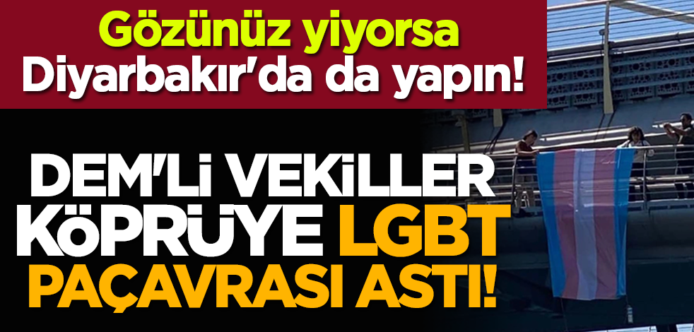 Sıkıyorsa Diyarbakır'da da yapın! DEM'li vekiller köprüye LGBT paçavrası astı!