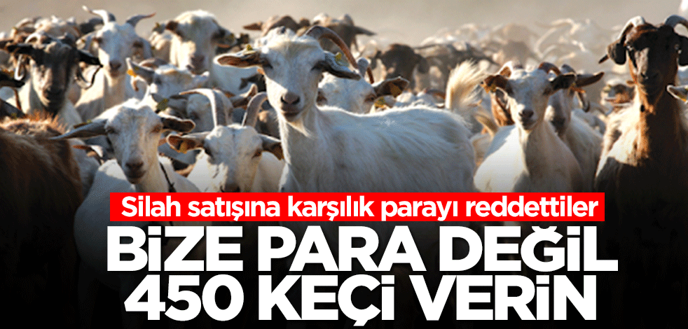 Silah satışına karşılık para istemediler! Bize para değil, 450 keçi verin