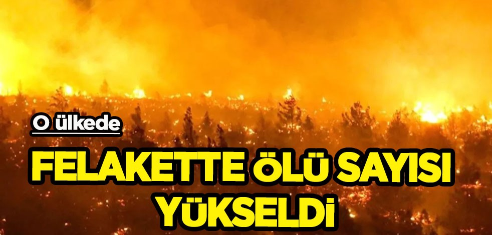 Şili'de yaşanan felakette ölü sayısı 22'ye yükseldi! Duyurdular: Binlerce hektar kül oldu!