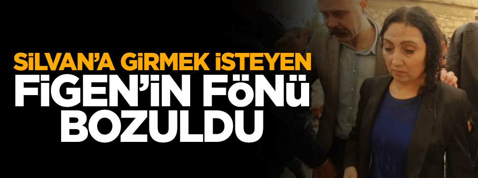 Silvan'a gitmek isteyen Figen Yüksekdağ da ıslandı