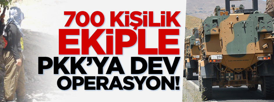 Silvan'da terör örgütüne dev operasyon başlatıldı!