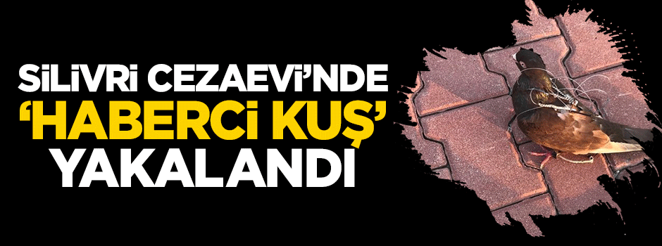 Silivri Cezaevi çevresinde 'Haberci kuş' ele geçirildi