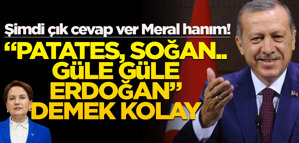 Şimdi çık cevap ver Meral hanım! "Patates, soğan.. Güle güle Erdoğan" demek kolay
