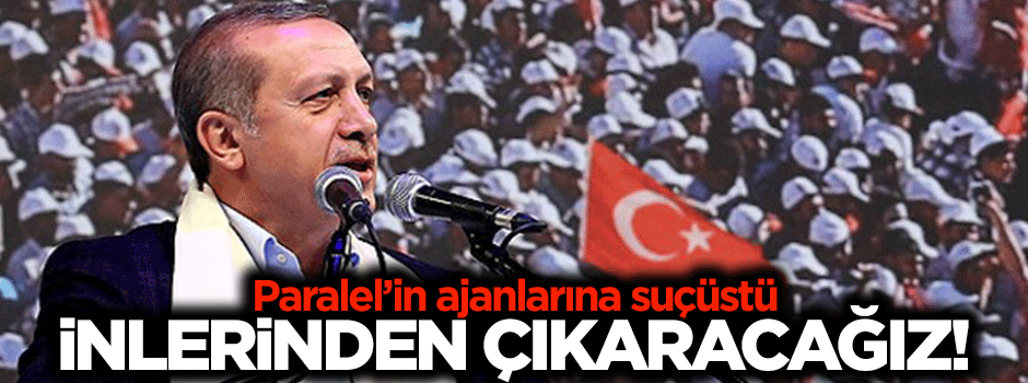'Şimdi inlerinden çıkarılıyorlar'