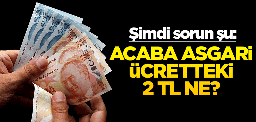 Şimdi sorun şu: Acaba asgari ücretteki 2 TL ne?