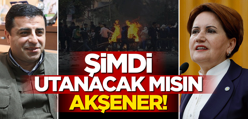 Şimdi utanacak mısın Akşener!