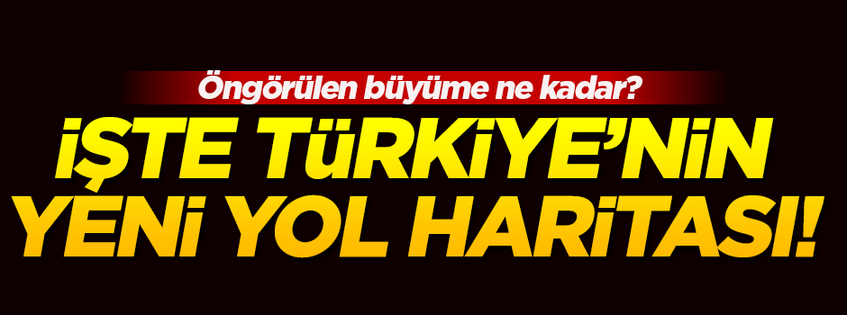 Şimşek: '2016 yılındaki büyüme yüzde 4,5 olur'