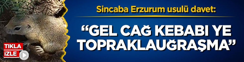 Sincaba Erzurum usulü davet: "Gel cağ kebabı ye, toprakla uğraşma"