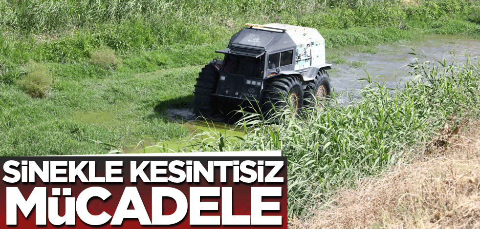 Sinekle kesintisiz mücadele