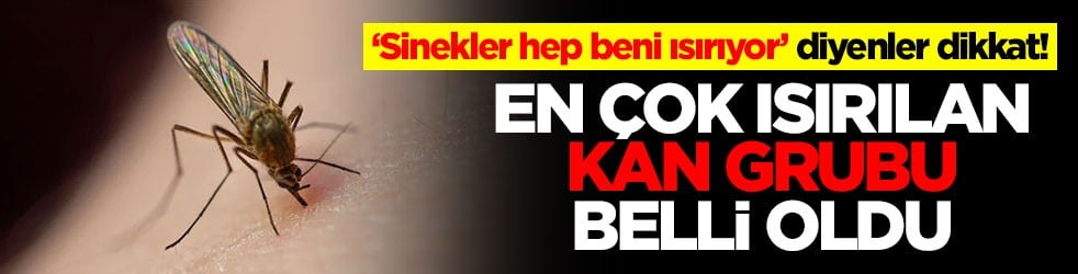 ‘Sinekler hep beni ısırıyor’ diyenler dikkat! En çok ısırılan kan grubu belli oldu