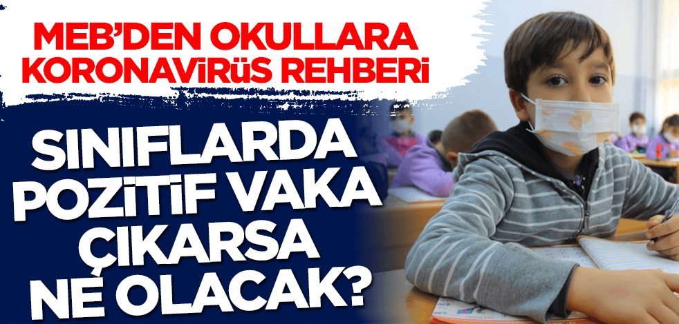 Sınıfta pozitif vaka çıkarsa ne olacak? MEB'den okullara koronavirüs rehberi