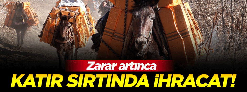 Sınırda katır sırtında ihracat dönemi