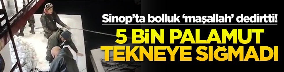 Sinop’ta bolluk ‘maşallah’ dedirtti! 5 bin palamut tekneye sığmadı