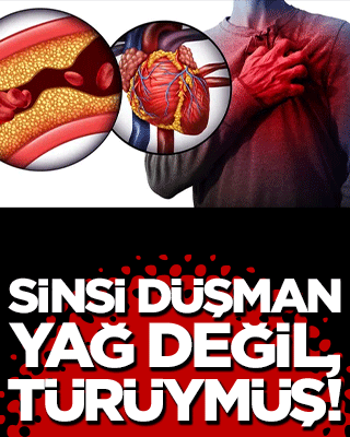 Sinsi düşman yağ değil, türüymüş! Kolesterolde ezber bozan gerçek