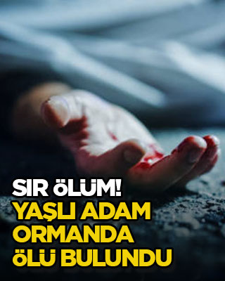 Sır ölüm! Yaşlı adam ormanda ölü bulundu