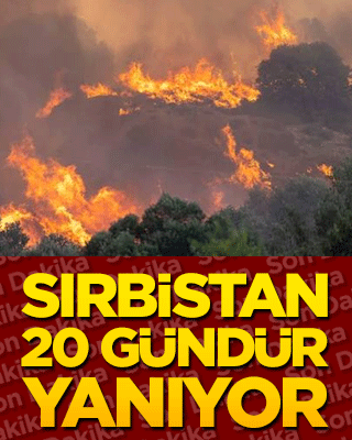 Sırbistan 20 gündür yanıyor