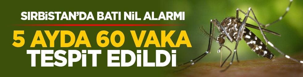 Sırbistan’da Batı Nil alarmı: 5 ayda 60 vaka tespit edildi