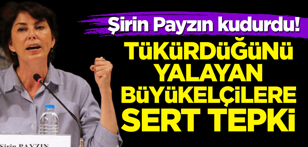 Şirin Payzın kudurdu! Tükürdüğünü yalayan büyükelçilere sert tepki