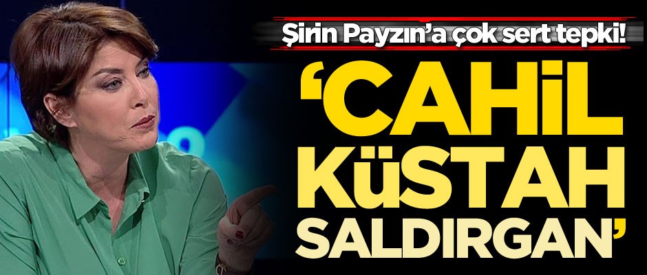Şirin Payzın'a çok sert tepki: Cahil, küstah, saldırgan