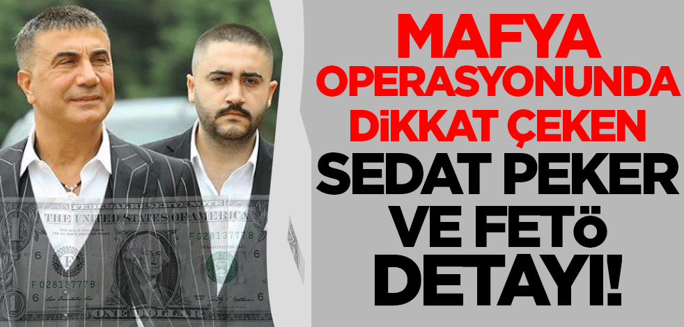 Şirinler çetesine dev darbe! Operasyonda FETÖ ve Sedat Peker izleri...